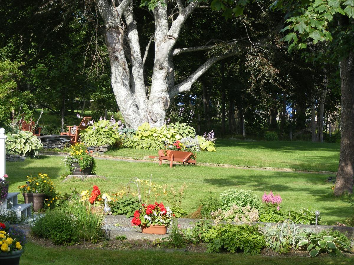 Rothesay House Heritage Inn B&B Harbour Grace Экстерьер фото